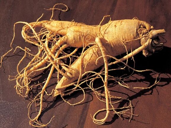 Ginseng rod