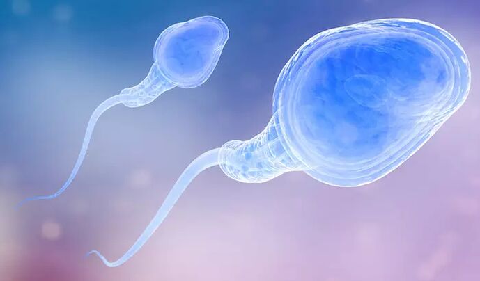 Spermatozoer kan være til stede i en mands præ-ejakulat